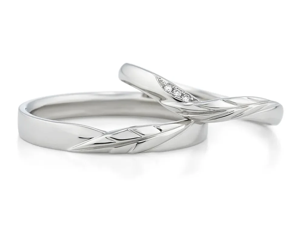 月桂樹_商品画像3